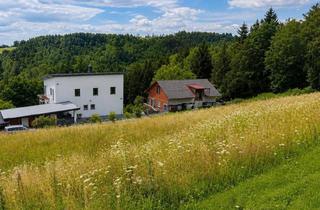 Grundstück zu kaufen in Empersdorfberg, 8081 Empersdorf, Sonnige Baugrundstücke am Empersdorfberg - ihr Platz zum Wohnen im Grünen