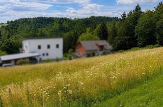Grundstück zu kaufen in Empersdorfberg, 8081 Empersdorf, Sonnige Baugrundstücke am Empersdorfberg - ihr Platz zum Wohnen im Grünen