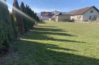 Grundstück zu kaufen in 2630 Ternitz, Tolles Baugrundstück mit Einfamilienhaus! Perfekt für Bauträger!