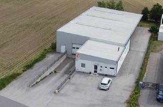 Gewerbeimmobilie kaufen in Bickfordstraße, 7201 Neudörfl, 500 m² große Halle mit ca. 150 m² Bürotrakt an der Abfahrt S4 zu verkaufen