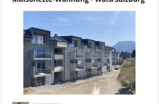 Wohnung mieten in Oberfeldstraße, 5071 Wals, 3 Zimmer Wohnung - Suchen Nachmieter