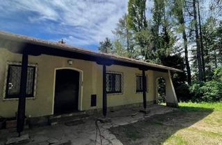 Haus mieten in Ramhofweg 119, 2724 Stollhof, Einfamilien-/Ferienhaus