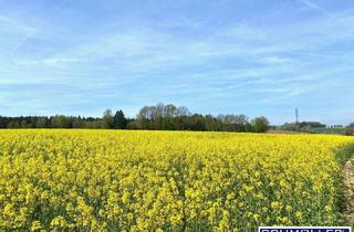 Grundstück zu kaufen in Kasbergstraße, 4623 Gunskirchen, Grundstück ohne Bauzwang - Leben am Land am Ortsrand von Gunskirchen