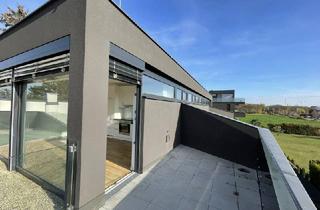 Wohnung mieten in 1220 Wien, UNBEFRISTET: 2 Zimmer mit Terrasse in sehr ruhiger Lage!