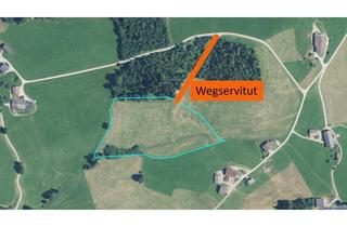 Gewerbeimmobilie kaufen in 6361 Hopfgarten-Markt, Landwirtschaftliche Flächen in Hopfgarten