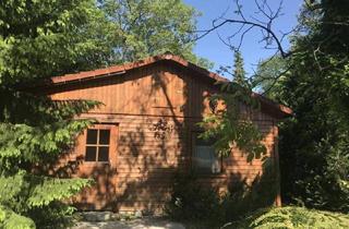 Haus mieten in 2124 Oberkreuzstetten, Natur pur - Holzblockhaus eingebettet in sonniger Ruhelage
