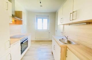 Wohnung mieten in Eybnerstraße, 3100 Sankt Pölten, Perfektes Wohnen mit städtischem Komfort.