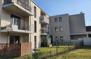 Wohnung mieten in Koloman Wallisch Straße, 3500 Krems an der Donau, 2-Zimmer-Wohnung mit Balkon, Top 16