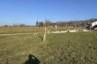 Grundstück zu kaufen in 4553 Schlierbach, Baugrundstück in Schlierbach 252/94