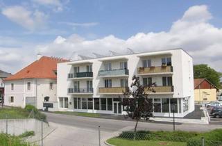 Wohnung mieten in 3352 Sankt Peter in der Au-Markt, St.Peter in der Au - Tolle Wohnung in einer Lebenswerten Gemeinde