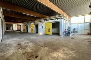 Lager mieten in 3170 Hainfeld, Große Lagerhalle im Zentrum von Hainfeld