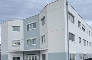 Büro zu mieten in Eitzenbergerstraße 4-6, 2544 Leobersdorf, 3 Zimmerbüro mit Klimaanlage im Ared Park
