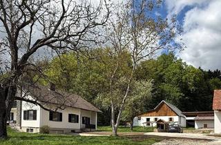 Lager kaufen in Haselbach 6, 8483 Deutsch Goritz, Landwirtschaft, Alleinlage, Weitere Grundstückskäufe Möglich!