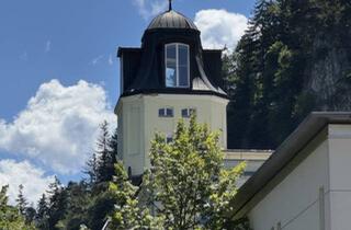 Wohnung mieten in 6800 Feldkirch, Wunderbares, grosses Loft mit Balkon