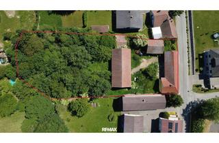 Bauernhäuser zu kaufen in 3062 Totzenbach, Großes Grundstück, viele Möglichkeiten – Liegenschaft in Totzenbach