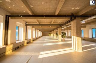 Büro zu mieten in Ungargasse, 1030 Wien, LOFT-BÜROS IM FABIANI-HAUS
