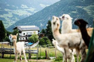Gewerbeimmobilie kaufen in Serfauserfeld, 6534 Serfaus, Ferienwohnungen + Grundstück in Serfaus.Fiss.Ladis Alpakahof Serfaus - mit Superhost Ferienvermietung auf 1300m