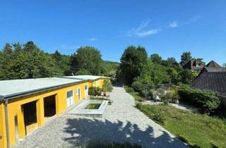 Einfamilienhaus kaufen in 2551 Enzesfeld-Lindabrunn, Wohnen Sie noch oder leben Sie schon? Überragende Liegenschaft im Bezirk Baden - Pool, Nebengebäude, landwirtschaftliche Flächen