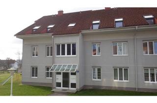 Wohnung mieten in Lindenweg 2a-c, 4150 Rohrbach, 3 Zimmerwohnung in Rohrbach