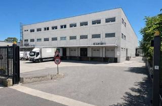 Büro zu mieten in Obachgasse 32, 1220 Wien, Lagerhalle od. Produktion / 1250 m2 / optional mit Büros in 1220 Wien