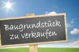 Grundstück zu kaufen in Stripfing, 2253 Stripfing, Gänserndorf-Stripfing - 2.635 m2 - Baugrundstück mit Potenzial Für 6 Wohneinheiten !