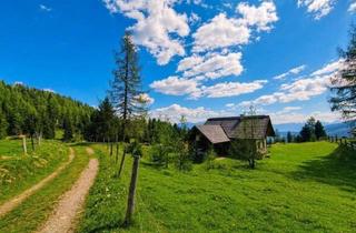 Almhütte zu kaufen in 9854 Maltaberg, Privates Almrefugium mit 8.000 m² Grund und Weitblick am Maltaberg