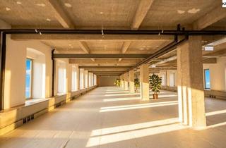 Büro zu mieten in Nähe Arenbergpark - Rudolfsstiftung, 1030 Wien, Loft-Büros im Fabiani-Haus