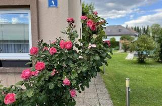Wohnung mieten in 3380 Pöchlarn, Erdgeschoss mit viel Platz zu mieten - mitunter perfekt für Ihre Mitarbeiter geeignet!