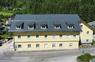 Wohnung kaufen in 3293 Lunz am See, Eigentum in Lunz am See – frisch renoviert, Einzug ab Sommer 2026