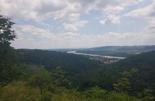 Gewerbeimmobilie kaufen in 3500 Krems an der Donau, FREIZEITPARADIES FÜR HOBBYGÄRTNER IN EINZIGARTIGER AUSSICHTSLAGE MIT DONAUBLICK - KEIN BAUGRUNDSTÜCK!