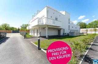 Wohnung kaufen in 2344 Maria Enzersdorf, Exklusive Vorsorgewohnungen mit Weitblick - THE VINEYARD
