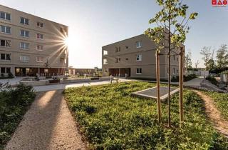 Wohnung mieten in 4623 Gunskirchen, Naturnahes Wohnen in Gunskirchen - geförderte NEUBAU-Mietwohnungen in moderner Hybridbauweise