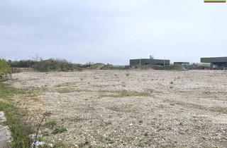 Grundstück zu kaufen in 3300 Amstetten, 18.000 m² Industriebauland mit idealen Voraussetzungen für Unternehmensansiedlungen