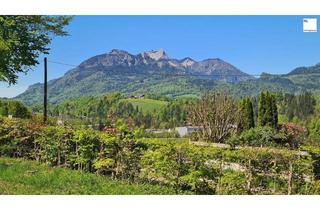 Grundstück zu kaufen in Ramsau, 4820 Bad Ischl, Bad Ischl - Nussensee - großzügiger Baugrund in herrlicher ruhiger Lage!