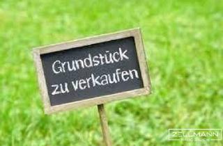 Grundstück zu kaufen in 3021 Pressbaum, Ihr Traumgrundstück im Wienerwald – 930 m² pure Lebensqualität in Weidlingbach bei Pressbaum | ZELLMANN IMMOBILIEN