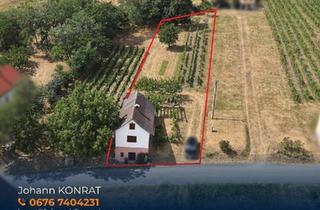 Haus kaufen in 7471 Rechnitz, Charmantes Kellerstöckl in sonniger Ruhelage mit Fernblick bis in die Ungarische Tiefebene – mitten im Weingebirge von Rechnitz