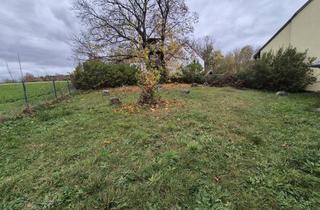 Grundstück zu kaufen in 2013 Göllersdorf, BAUGRUND - 388 m² - MIT 2 PRESSHÄUSERN - AUSBAUFÄHIG