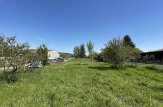Grundstück zu kaufen in 2405 Bad Deutsch-Altenburg, Sonniges Baugrundstück in naturnaher RUHELAGE | unmittelbare Nähe zu den Donau-Auen | Heurigen zu Fuß erreichbar