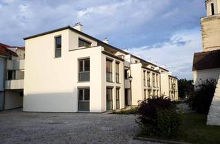 Wohnung mieten in Poysdorferstraße, 2143 Großkrut, Großkrut I - LZ 2340 - Top 101