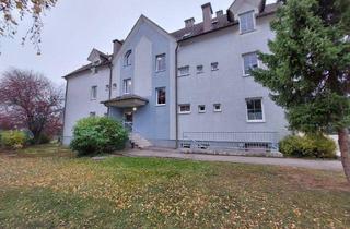 Wohnung mieten in Hopfengasse 14, 3712 Maissau, Maissau II - LZ: 9520 - Top 8