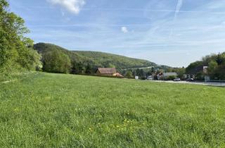 Grundstück zu kaufen in 2371 Weissenbach bei Mödling, Großes Grundstück 4.267M² in Weissenbach/Hinterbrühl mit Vielen Möglichkeiten!