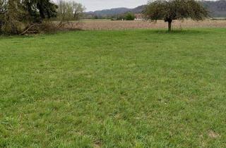 Grundstück zu kaufen in 8282 Gillersdorf, Thermenregion Loipersdorf Grundstück mit Gartenhütte