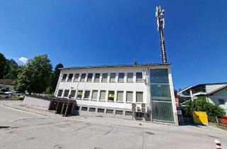 Gewerbeimmobilie kaufen in 8970 Schladming, Gewerbeobjekt im Zentrum von Schladming