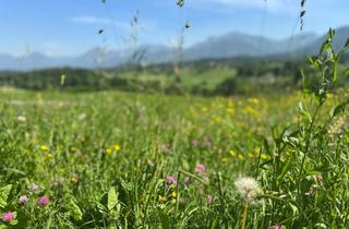 Grundstück zu kaufen in 9232 Obergoritschach, Provisionsfrei - Sonniges, voll erschlossenes Baugrundstück mit traumhafter Aussicht - auch teilbar