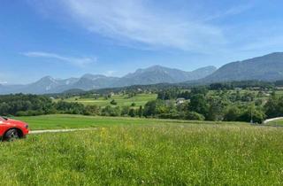 Grundstück zu kaufen in 9232 Obergoritschach, Voll erschlossenes, sonniges Bauland, ggf. teilbar