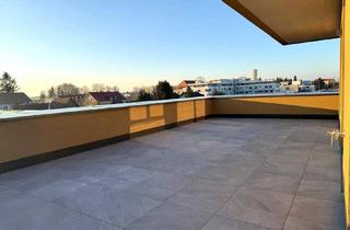 Penthouse mieten in 8401 Kalsdorf bei Graz, ROOF-TOP-PENTHOUSE - vollklimatisiert - eine ganze Etage für Sie alleine - absolute Seltenheit am Markt