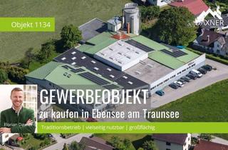 Gewerbeimmobilie kaufen in 4802 Ebensee, Gewerbeliegenschaft mit etabliertem Tischlereibetrieb in Ebensee am Traunsee
