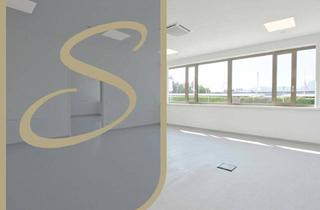 Büro zu mieten in 4663 Laakirchen, Räumlichkeiten im Laakirchner Gesundheitszentrum!