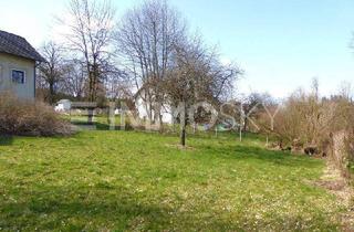 Grundstück zu kaufen in 4653 Eberstalzell, 700 m² IN GUTER LAGE - KEIN BAUZWANG - LEICHTE HANGLAGE