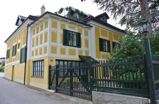 Villen zu kaufen in 2551 Enzesfeld-Lindabrunn, 1750 erbaute Villa - MÄRCHENHAFTES LEBENSGEFÜHL